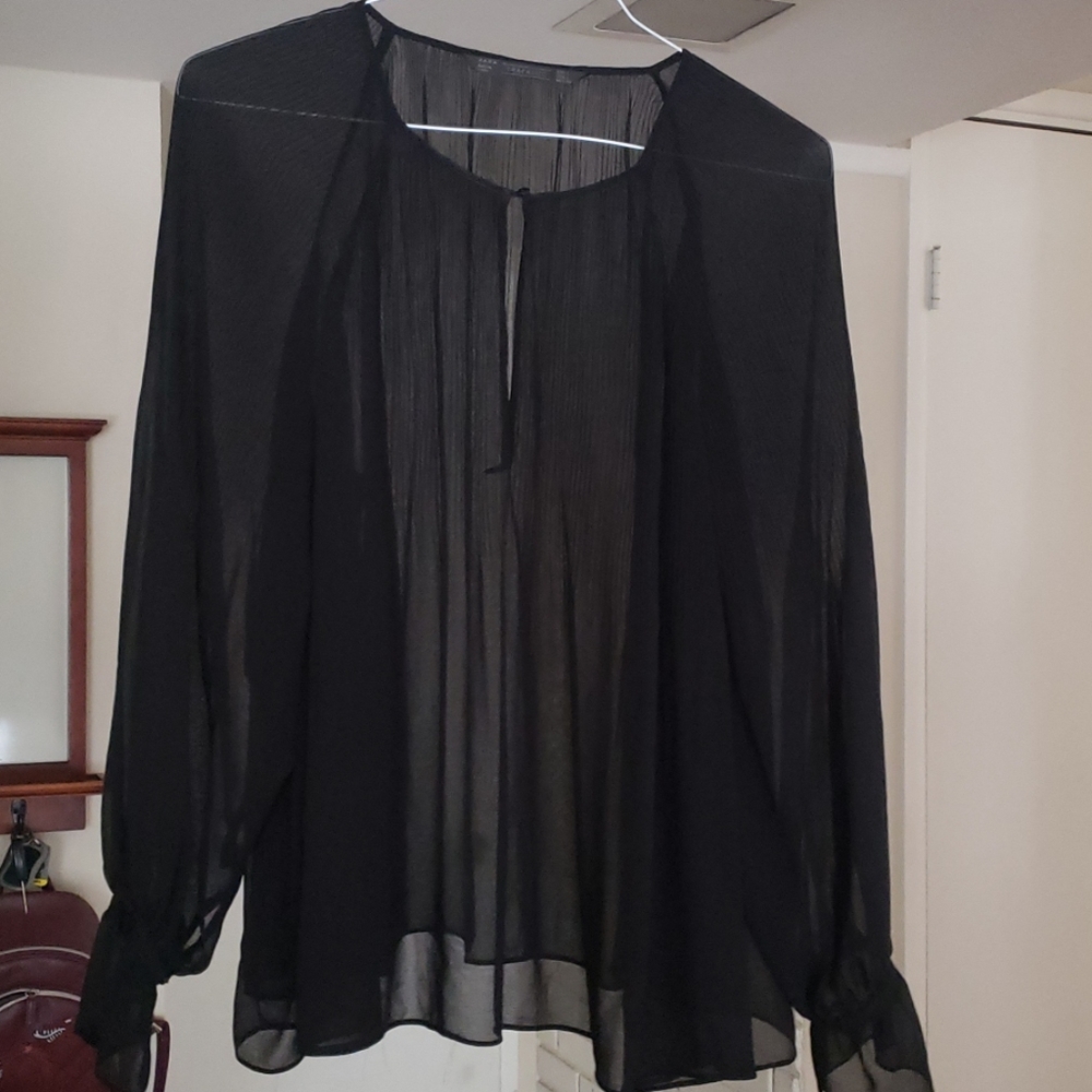 Zara Pleated Blach Sheer Blouse